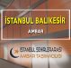 İstanbul Balıkesir Ambar